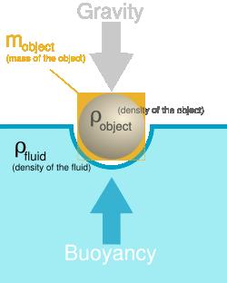 Buoyancy The upward thrust acting in the opposite direction to the force of