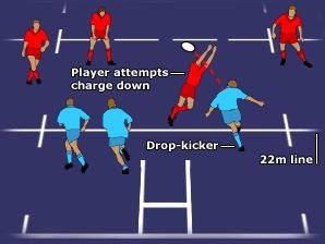 THE 22-METRE DROPOUT This is one of the methods used to restart play when the ball has gone over a team's dead ball line.