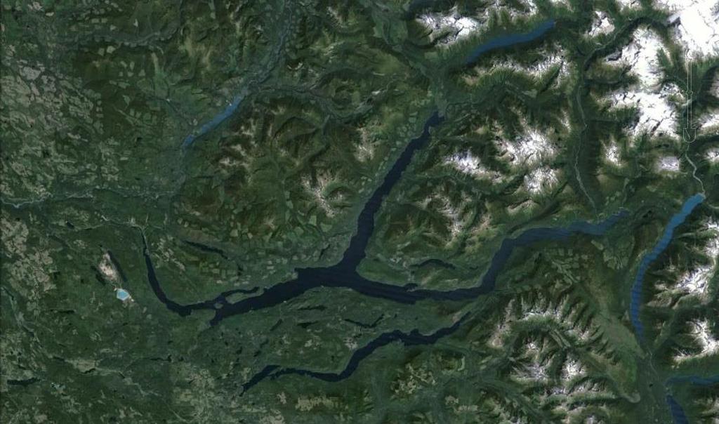 Quesnel Lake Sockeye Salmon: Large escapements, trophic