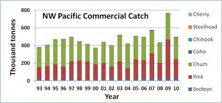 Western North Pacific Total Catch of Salmon By Species,