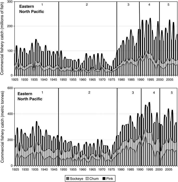 Millions of Fish Metric Tones Eastern North Pacific Salmon Catch Trends, USA + Canada 1.