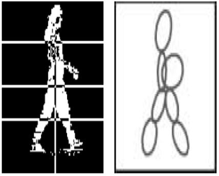 The ellipsoidal model in Lee and Grimson (2002) In a later work, Fathima and Banu (2012) performed skeletonisation on the extracted silhouette of each image frame.