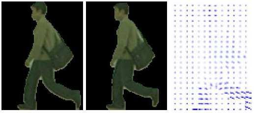 (2010b) adopted PMS as their gait signature. They engaged shape context (Belongie et al., 2002) descriptor to measure the similarity between two PMSs.
