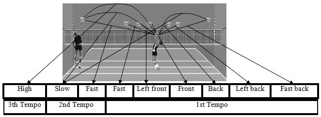 180 The Action of the Middle Blocker According to the Opposing Offensive Organization in Volleyball Fig. 1 Different setting played by setters (adapted Ref. [23]).
