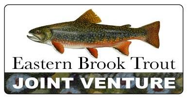 Education and Outreach Eastern Brook Trout Joint Venture Status and Threats in PA publication Land use & loss of habitat key problems Conservation