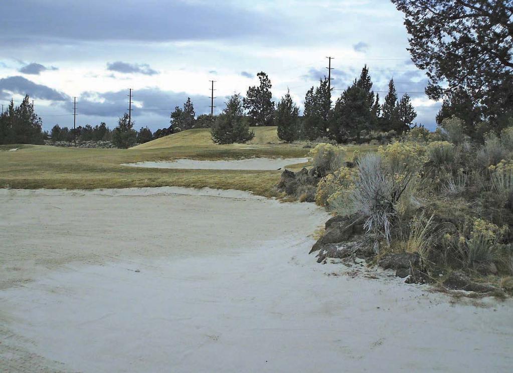 A few sand bunkers transcend to natural areas.