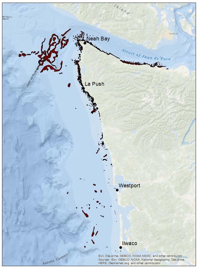 Figure B-11. Map of rocky reefs off Washington. To reflect the difference in habitat type, fisheries are managed in three regions that correspond to yelloweye rockfish abundance.
