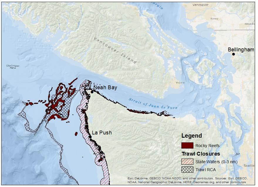 Figure B-15. Trawl RCA configurations for the North Washington Coast. Out of about 1,200 WCGOP observed bottom trawl hauls in this area prior to closure, 8.