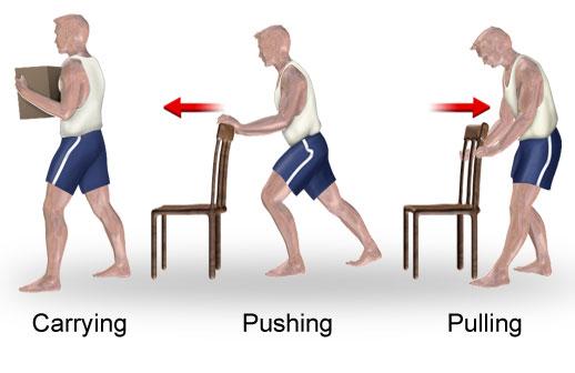 BODY MECHANICS Lifting Bending Keep the loads small Kneel down on one knee Get close to the load, don t reach and lift Lift with your arms and legs, not your back Tighten your stomach muscle to lift