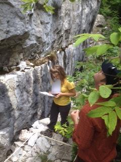Research on Climbing Collaborative research between climbers and managers Rock Climbing and Talus Vegetation on the Niagara Escarpment: Impacts and Management Implications.