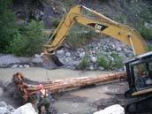 CHEAKAMUS ECOSYSTEM RECOVERY Recovery Projects 2006 Fish