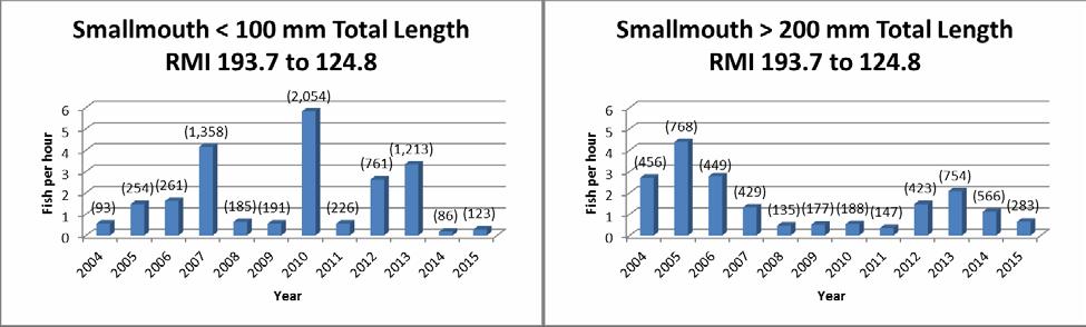 Figure 5. Eleven year comparison of catch/effort (fish/hr) for young-of-year, juvenile and adult smallmouth bass, 2004-2015, for Ruby Horsethief Canyon of the Upper Colorado River.