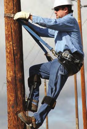 Lineman Belts and Harnesses 3M DBI-SALA 4D Seat-Belt Designed by linemen, for linemen. Patent pending design keeps the center of gravity at the top of the belt for improved safety.