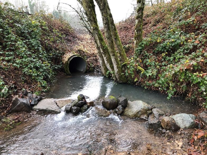 The existing corrugated metal pipe culvert is a 5 pipe that extends for 308 and is undersized given the 7 active channel in this reach. The culvert is set at a low slope.