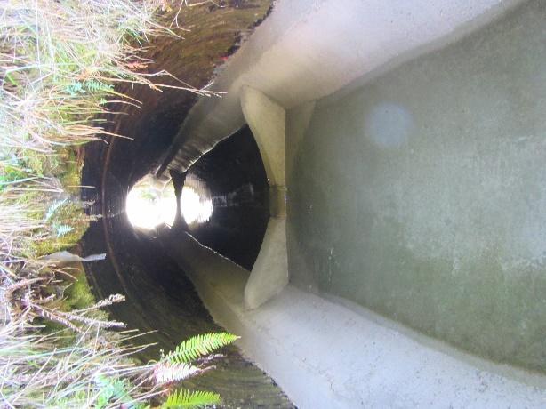 The anticipated hydraulic performance of these weirs is to increase depth during low flow conditions and to create hydraulic complexity and slow water during high flow conditions (5-95% of the daily