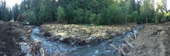 This project removed a 12 foot high concrete dam near the mouth of the creek, which restored year-round fish passage and improved important rearing habitat for threatened winter steelhead and