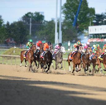 A dozen horses have won the Test of Champions after first capturing the Kentucky Derby and Preakness Stakes, yet only seven thoroughbreds known to be foaled in the month of February have, likewise,