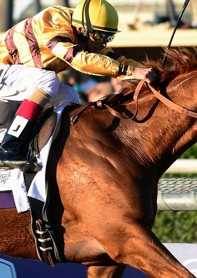 BounCing BullBy derek Simoni Ever since Super Saver retreated like a hairline at a 20-year high school reunion around the far turn in the 2010 Preakness Stakes, I ve been giving a lot of thought to