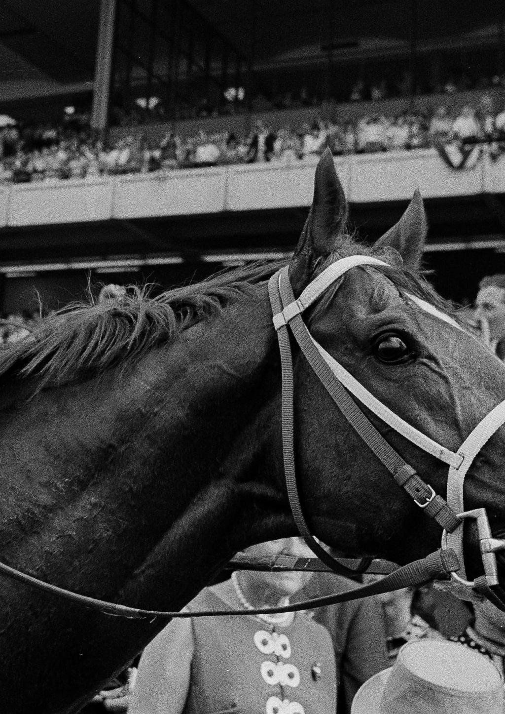Nearly three decades earlier, on June 9, 1979, Coastal made his second start in 27 days a memorable one, as he defeated the fresh Spectacular Bid, who was making his second start in 35 days, in the