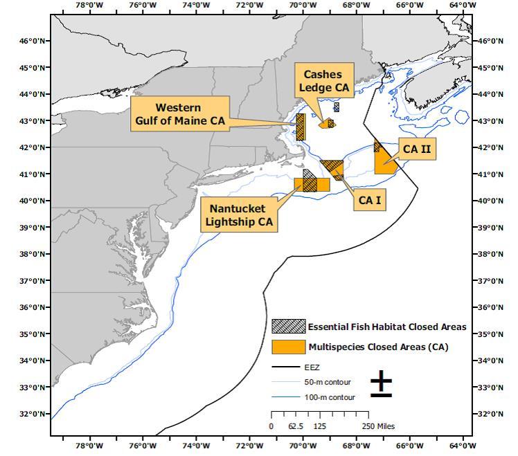Figure 14 Figure 19: Year-round spatial closures in the Gulf of Maine and