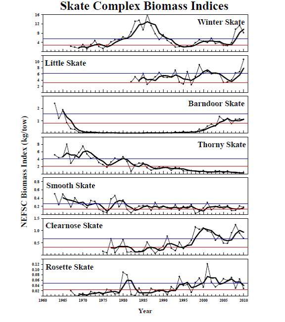 Figure 15 Figure 15: NEFSC survey biomass indices (kg/tow).