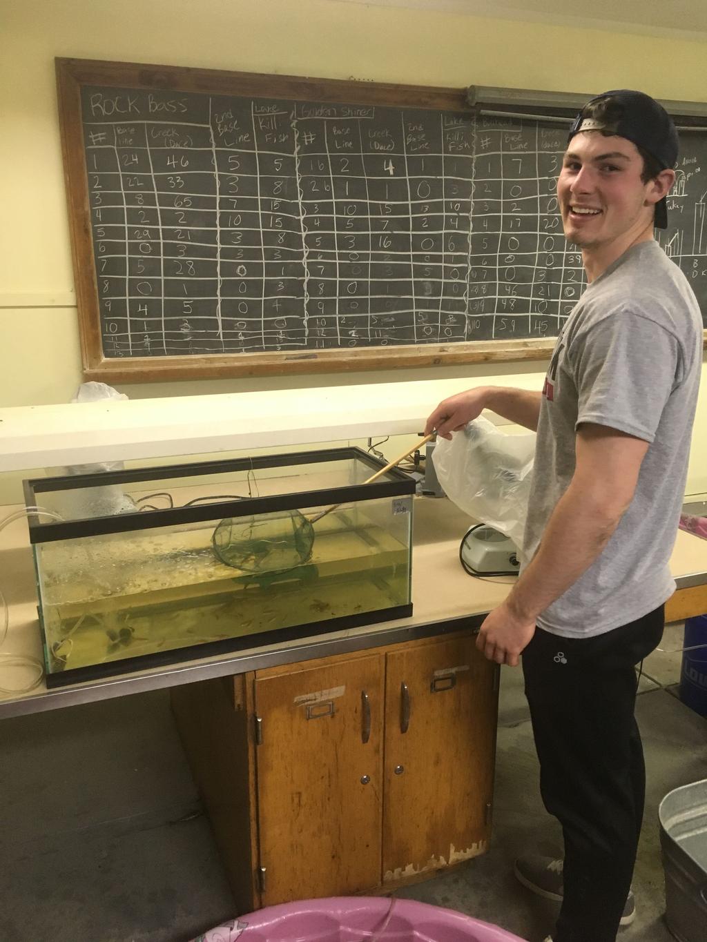 Methods 1 L of lake water was added and a baseline activity was recorded for 5 minutes Either 2 dace or 2 killifish were squeezed in a bucket containing 1L of water 5 minutes of activity was recorded
