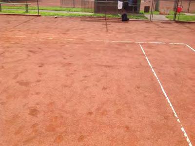 quite good condition. There is a good amount of top dressing on the court, and few signs of aggregate showing through from the base.