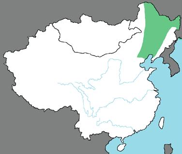 Changbai Mountain is a land feature that divides China and Korea.