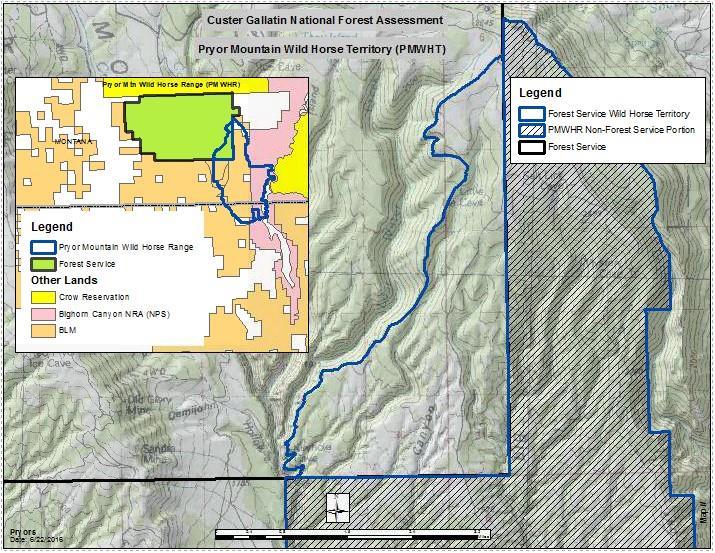 Figure 1. Forest Service Pryor Mountain Wild Horse Territory The origin of the wild horses within the Pryor Mountain Wild Horse Range is not entirely known.