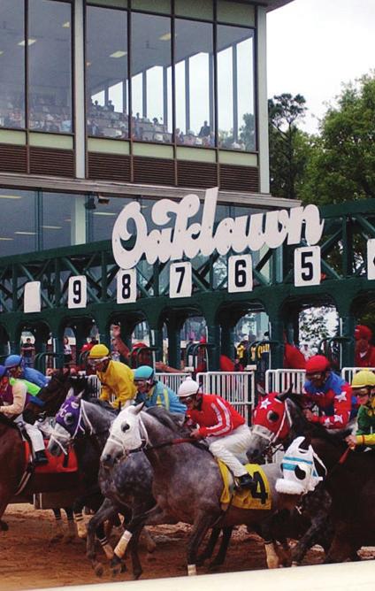 SIRES TO WATCH AT OAKLAWN PARK by Ed DeRosa One of the fun things about gambling on Oaklawn Park is the chance to dive into some pedigrees that you rarely see elsewhere, and more importantly make