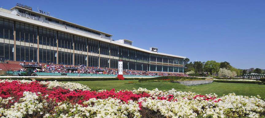 OAKLAWN STAKES SCHEDULE Date Race Grade Purse Restrictions Surface Distance Friday, Jan 12 Fifth Season $125,000 4&UP Dirt 1 1/16 Miles Saturday, Jan 13 Pippin $125,000 F&M 4&UP Dirt 1 1/16 Miles