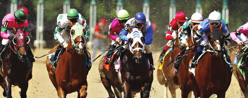 GUIDE TO THE GRADED STAKES SCHEDULE by Alastair Bull Top-class older horses, along with numerous Kentucky Derby and Oaks hopefuls, will produce plenty of high-quality racing and betting opportunities