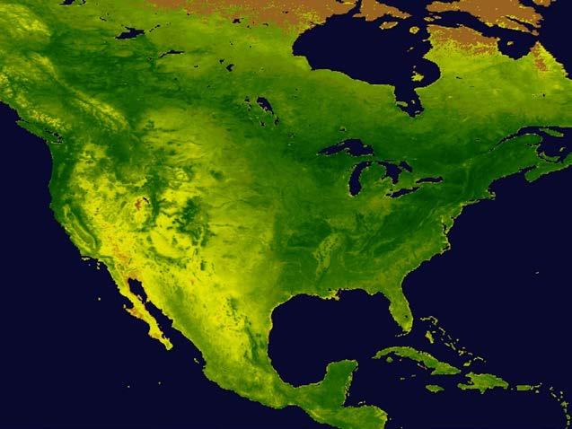 Normalized Difference Vegetation Index (NDVI) Spatial and temporal measure of