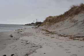 5 ft NAVD88 and is set lower than the surrounding dunes. The beach area between the toe of the dune and the mid-tide range varies from 75 to 85 ft wide, with a gradual 9% slope.