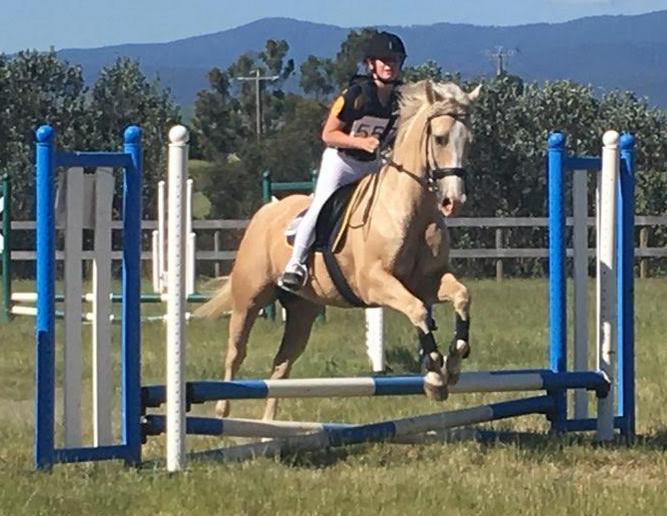 competed at the Yarra Glen horse trials