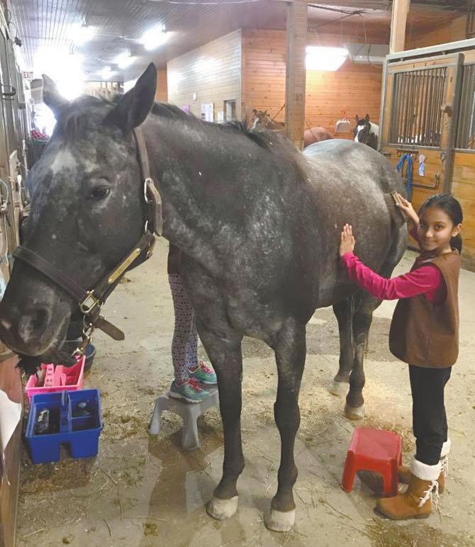 H H H NORMANTON EQUESTRIAN CENTER Girl and Boy Scout Grooming Badges Earn your grooming badge at Normantown! Scouts will learn the basics of horse safety and be shown how to properly groom a horse.