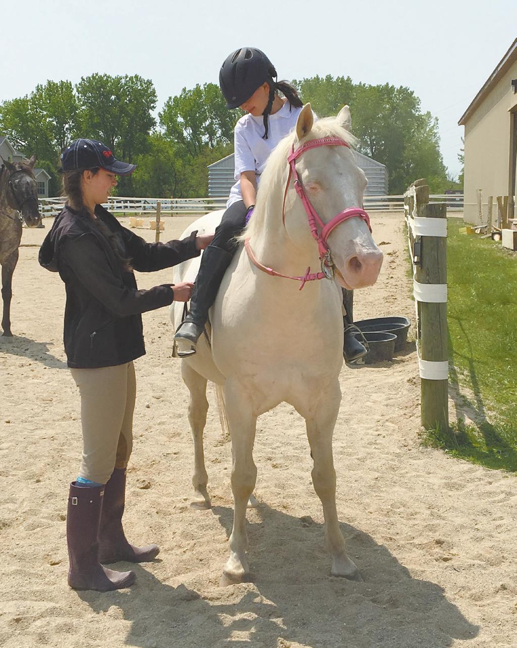 NORMANTON EQUESTRIAN CENTER Beginner Group Lessons Looking to save a few dollars? en sign up for our beginner group lessons.