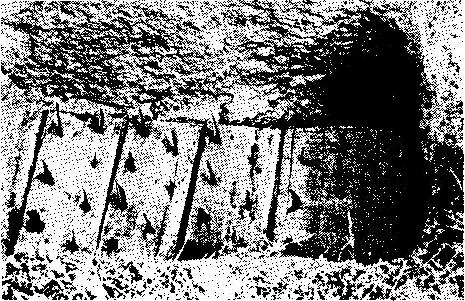 e. Spike Board Pit. The spike board pit is simply a small pit, the bottom of which is lined with boards through which spikes have been driven. The top of the pit is camouflaged.