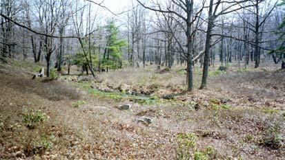 This spring issues from the ground about a half-mile west of the source of Stone Run, the major tributary of Lick Run and lower end of the study section.
