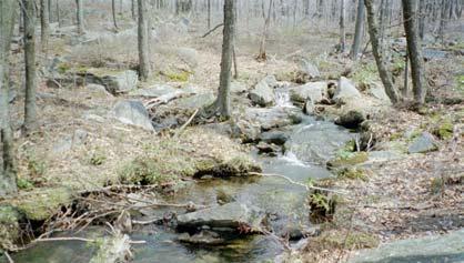 Figure 11. As the trees crowd in, woody debris forms pools. Figure 12. As slope increases, large rocks create waterfalls and plunge pools.