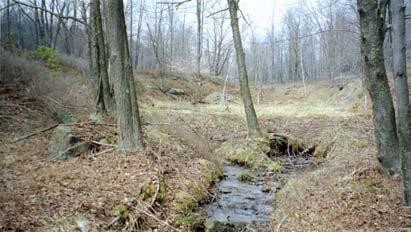 A small tributary enters the main stem about a quarter-mile above the confluence of Lick Run and Crystal Spring Stream.
