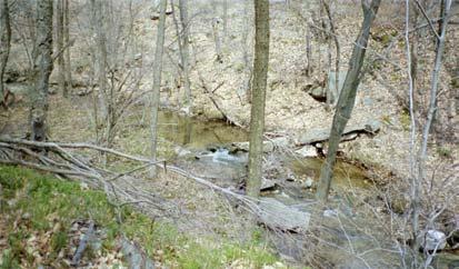 Figure 15. Typical pool and riffles series Figure 16. Big rocks and pool about a halfbetween Crystal Spring stream & Dr. Fork mile above Doctors Fork.