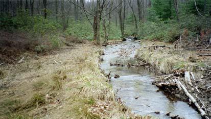 There is a broad basin at the confluence of the two streams and an abundance of springs and seeps.