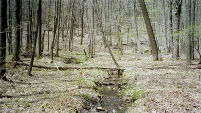 From here to Stone Run, Lick Run is a beautiful wilderness stream with riffles and pools, magnificent scenery and enough brook trout to make fishing it a pleasurable way to spend the day. Figure 17.