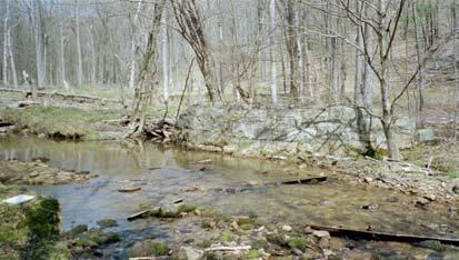 Except for the mid-winter survey, brook trout of several age classes were observed all through this area every time it was visited.