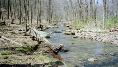 stretch of Lick Run. SGL #90. Progressing downstream, the stream gradient increases significantly.