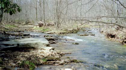 An ATV trail parallels Lick Run from below the confluence with Stone Run upstream to the SGL #90 southern border (Figure 29).