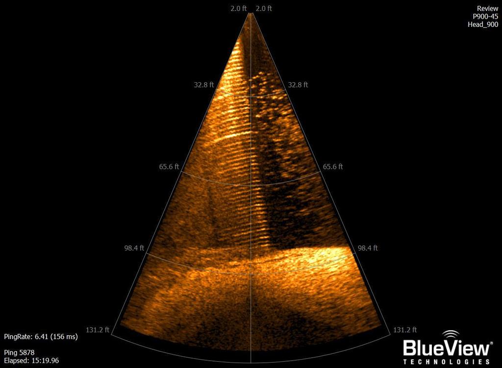 Figure 6 Typical sonar image of MU trash rack profile.