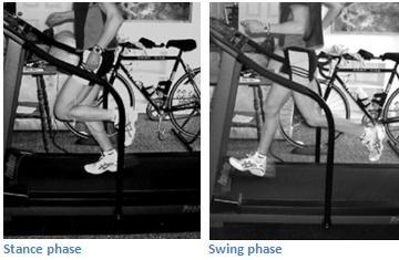 2.2.1 The Gait Cycle of Running The gait cycle of running has two main phases; the stance phase and the swing phase (Figure 1).
