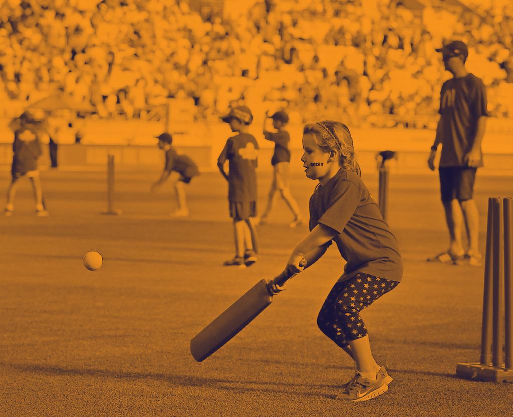 FOUNDATION ING Any junior format in which a softball is used. Any form of Superstar Cricket.